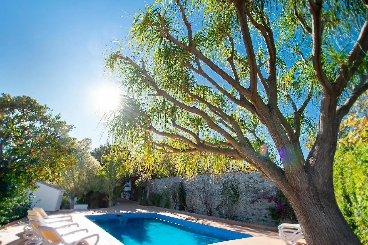 Villa La Paloma Almunecar 0*,  Spain